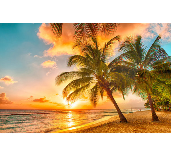 House of Hampton Ianthe Barbados Palm Beach 13.25m x 50cm 5 Piece
